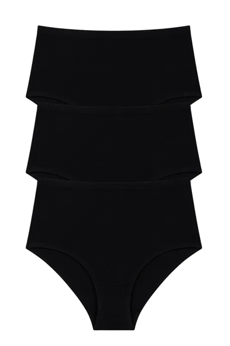Kadın Yüksek Bel Pamuklu Slip Külot 3'lü Paket Esnek Kumaş