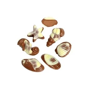 DENİZ KABUKLARI - FINDIKLI GIANDUJA DOLGULU SÜT VE BEYAZ ÇİKOLATA 1,5 kg