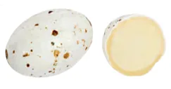 HİNDİSTAN CEVİZİ KREMALI BİLDİRCİ YUMURTASI 3 kg