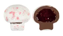 AHUDUDU NEKTARI DOLGULU MİNİ MANTAR ŞEKERLİ 3 kg