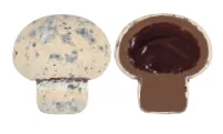 PRALİN DOLGULU MİNİ MANTAR ŞEKERLİ 3 kg